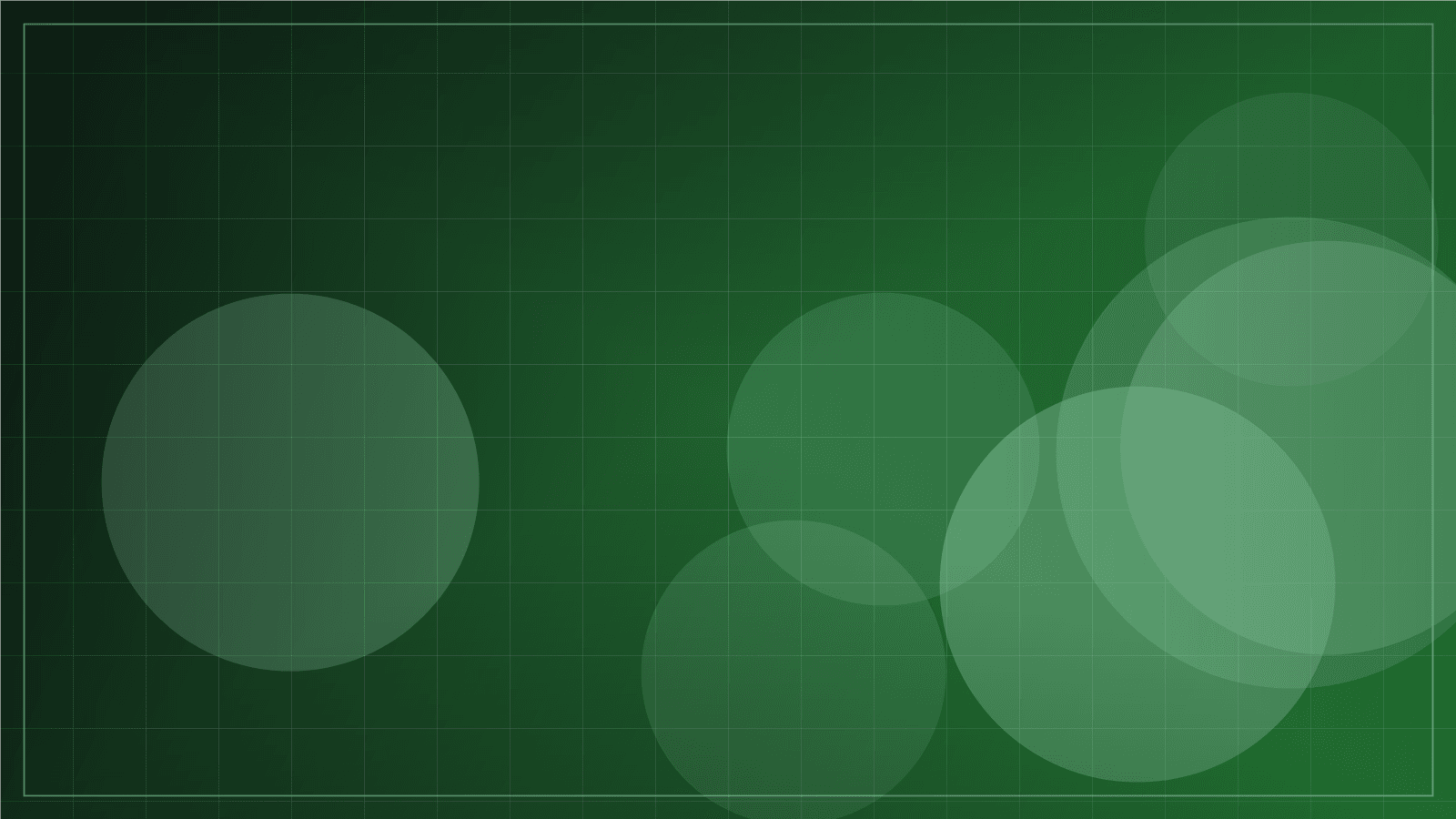 Custom Software Guide: Designing Systems Around Business Workflows cover